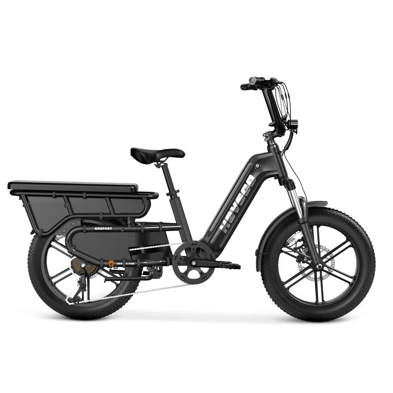 Hovcart Family E-Bike