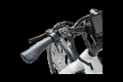 PRIORITY CURRENT plus E-BIKE