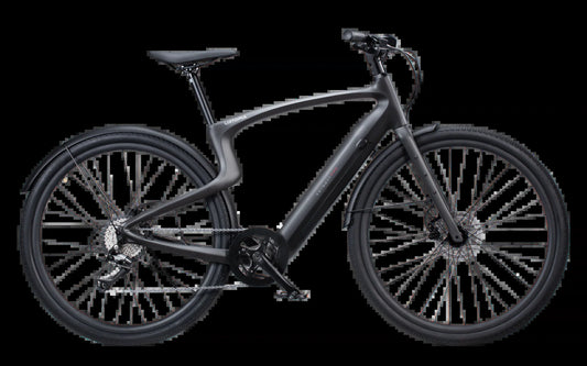 Carbon 1 Pro E-Bike