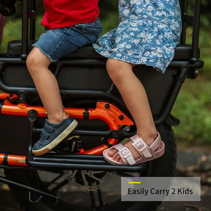 Hovcart Family E-Bike